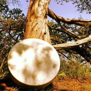 Drum by Tree